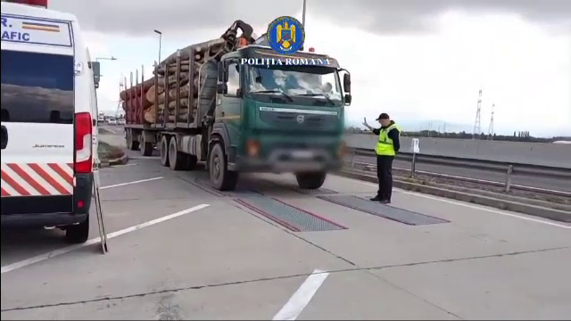 Lemn ilegal în valoare de 140.000 lei, confiscat la Brașov. Poliția a deschis patru dosare penale