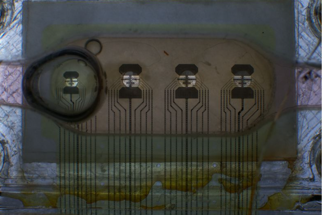 Nu e SF, ci a devenit realitate. Echipe de cercetători au creat „minicomputere” din celule vii. Vârful cercetărilor e Elveția