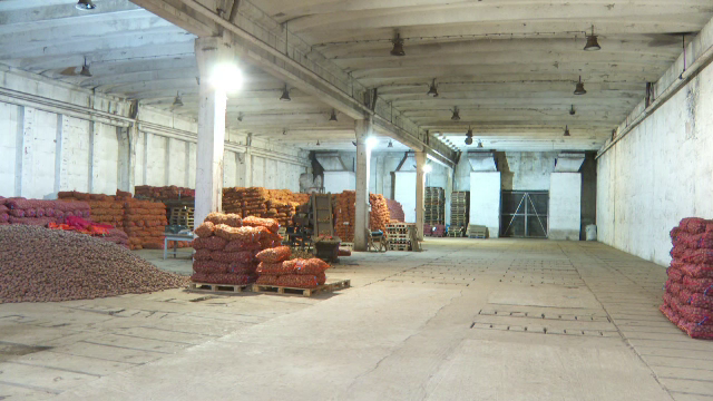 Cartoful, o legumă tot mai rară în România. La Miercurea-Ciuc, pentru unii fermieri nu mai e rentabil să-l scoată din pământ