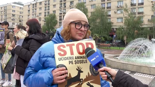 Ziua Internațională a Animalelor. Oamenii u protestat la Iasi pentru responsabilitate și empatie față de necuvântătoare