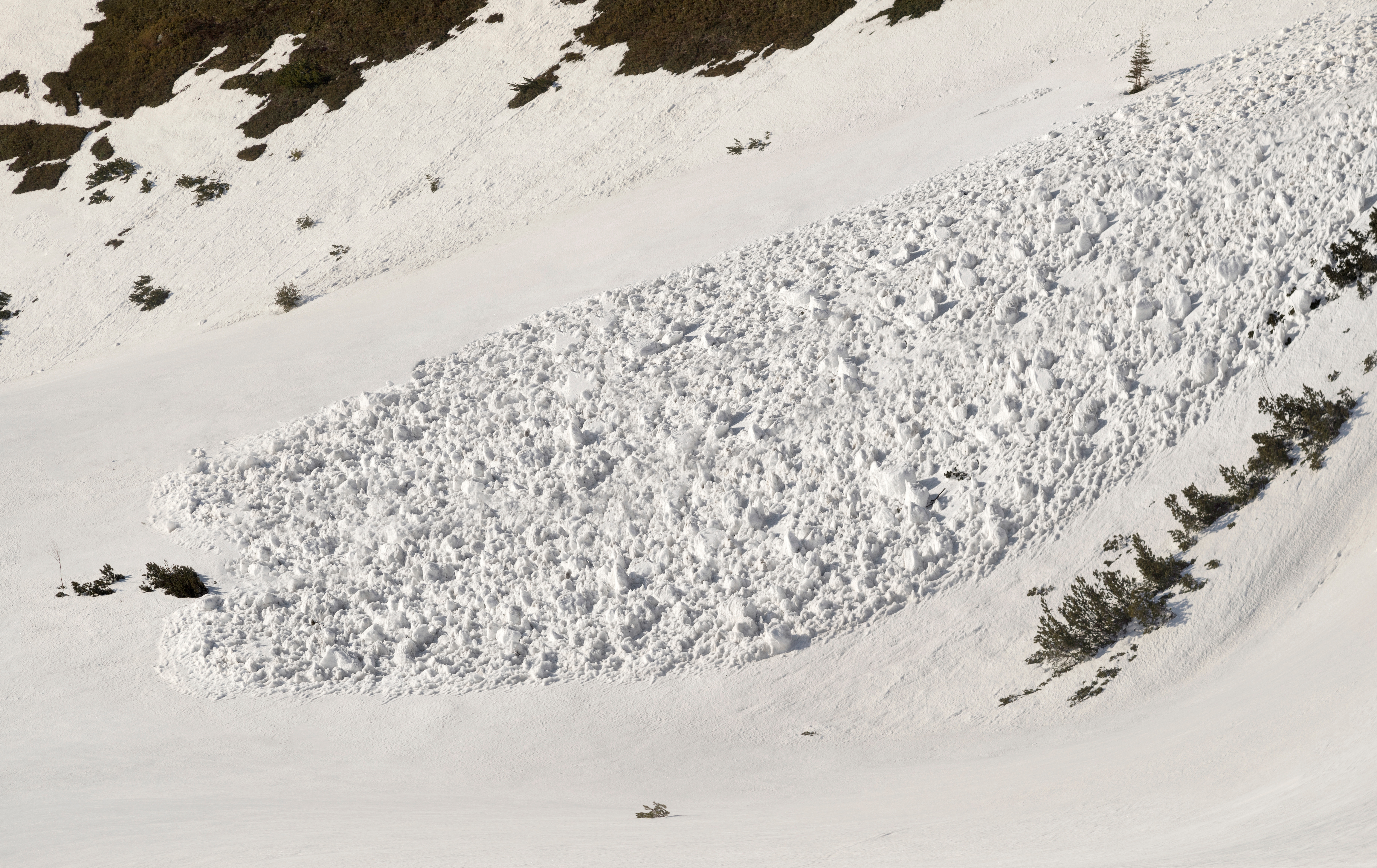 Cinci alpiniști germani au murit într-o avalanșă în Italia. Printre victime se află și o fată de 17 ani