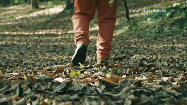 Oamenii din Mărășești dau vina pe primărie pentru copilul omorât de câinii maidanezi. Municipalitatea îi acuză pe localnici