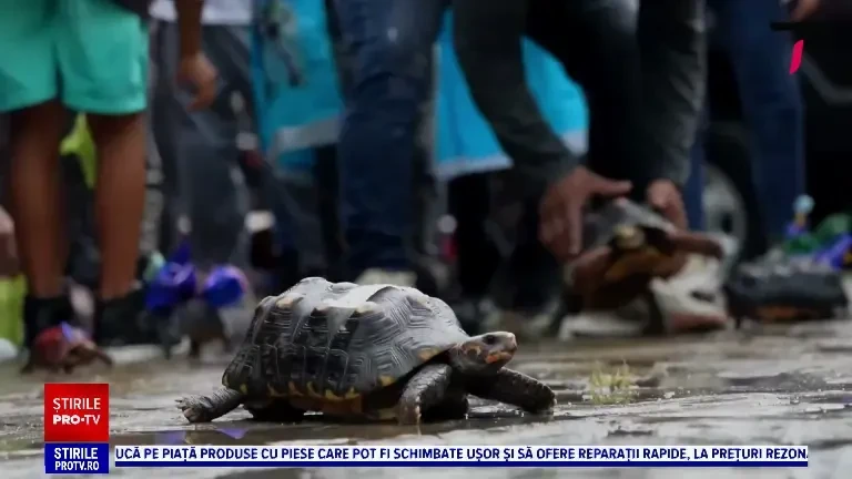 Vremea azi, 6 octombrie. Temperaturi scăzute și ploi în aproape toată țara, iar la munte și în nord se așteaptă ninsoare