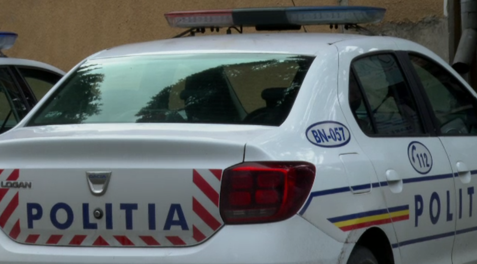 Imagini revoltătoare în Rodna: Cal bătut și obligat să tragă o mașină de teren. Poliția Animalelor a intervenit