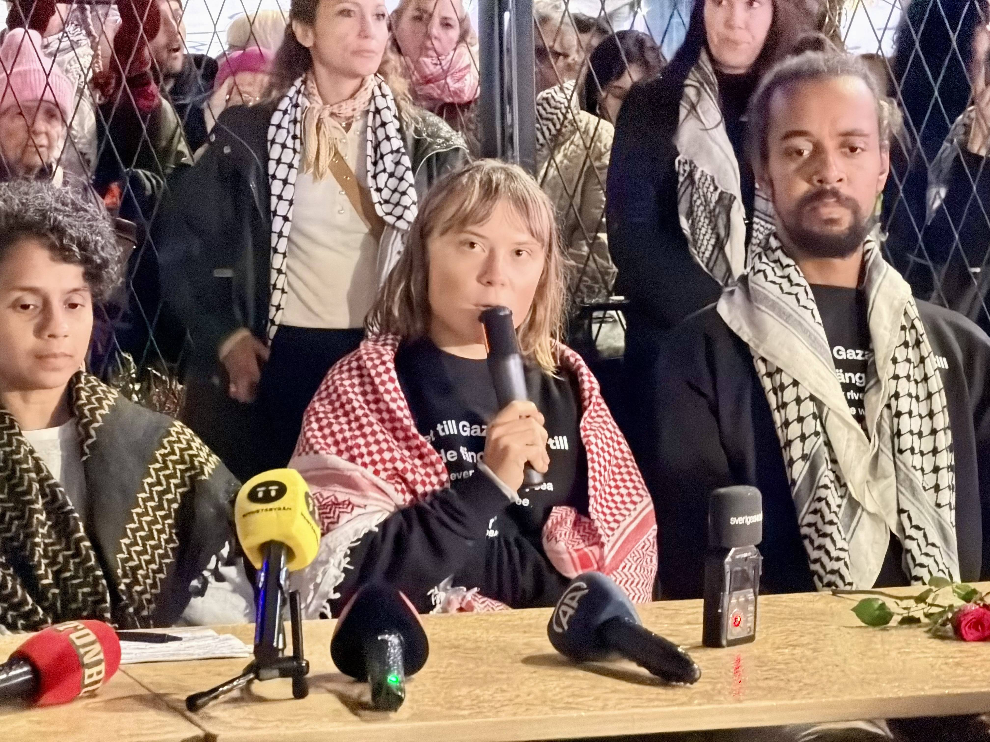 Greta Thunberg, acuzații grave din timpul detenției: „Am fost răpită și torturată" de forțele armate israeliene