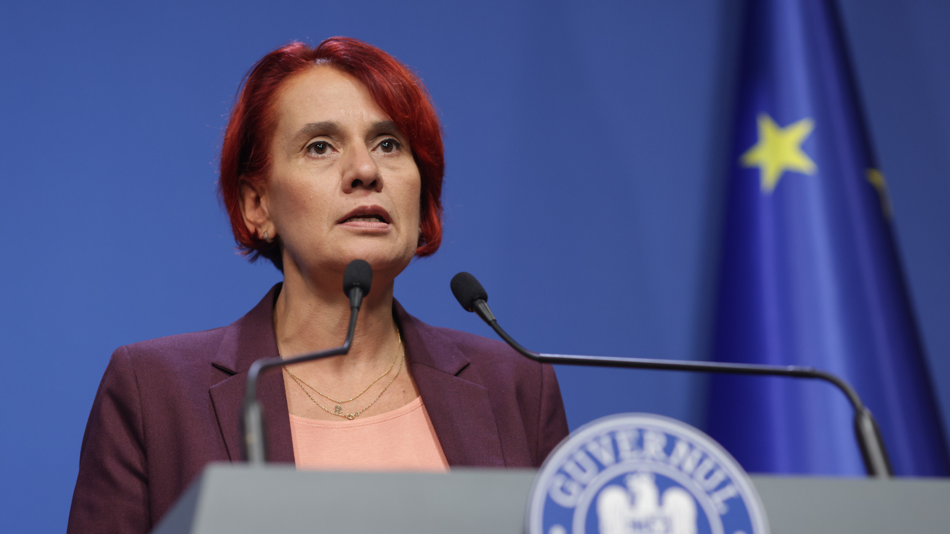 Purtătorul de cuvânt al Guvernului: ”Modificările la ordonanţa 52/2025 au fost amânate. N-a fost absolut niciun scandal”