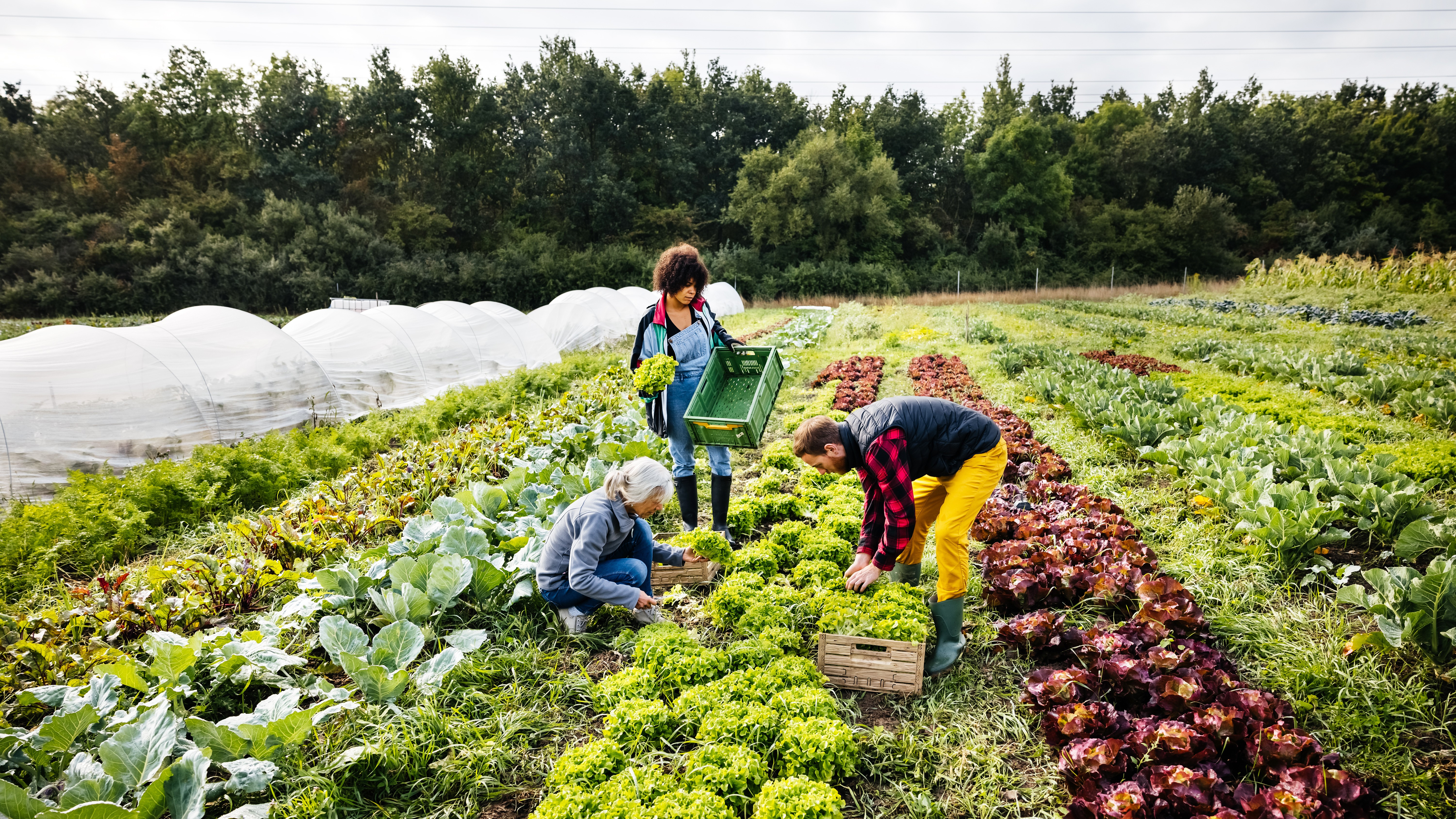Cum devine sustenabilitatea cheia rezistenței în business. „Nu mai e un avantaj, ci o condiție de supraviețuire în afaceri”