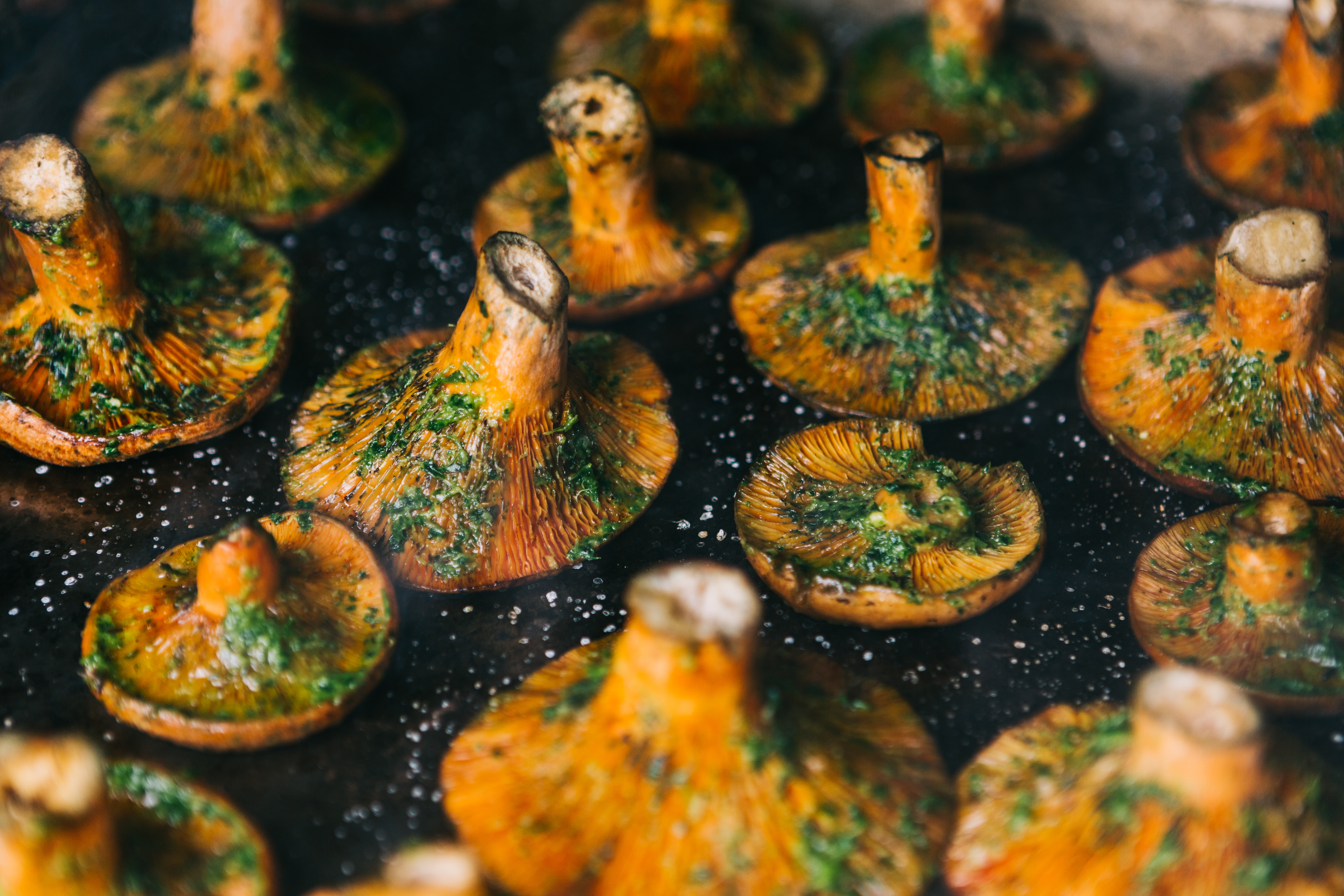 Râșcov - ce este, cum arată și cum recunoști această ciupercă. Moduri de consum și beneficii pentru sănătate