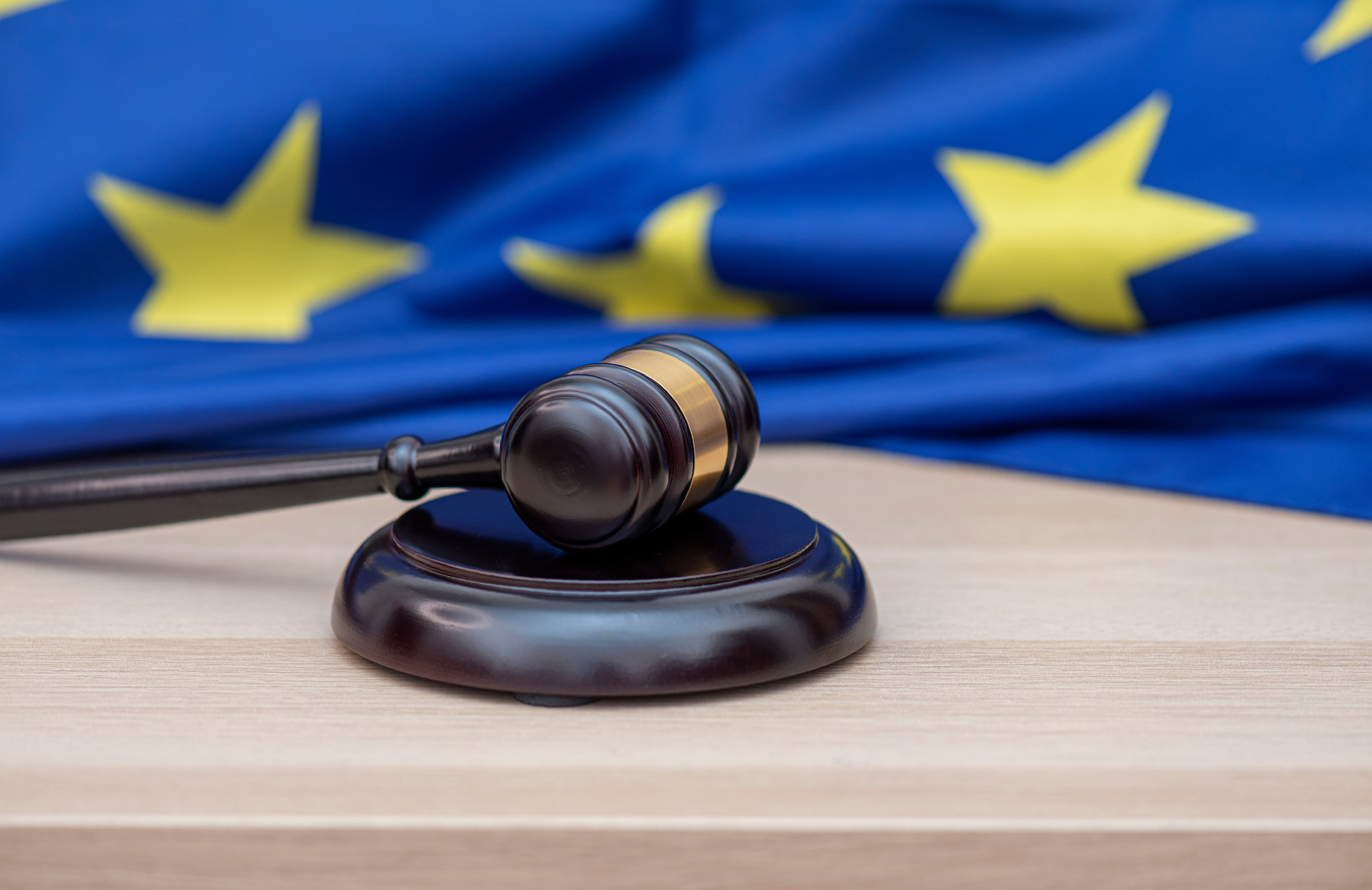 Rusia, obligată să plătească 253 de milioane de euro Georgiei. Moscova ignoră decizia CEDO și refuză sancțiunea