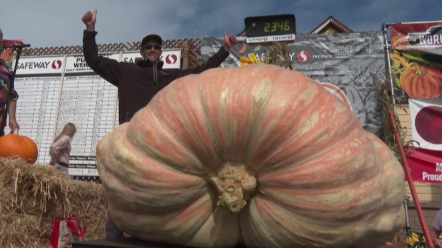 Cum a reușit un american să obțină un dovleac de 1.064 de kilograme. Sunt două condiții esențiale