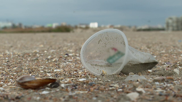 Plaje la liber pe litoral, fără baldachine și baruri. Proiect: 20% din întinderile de nisip să fie publice