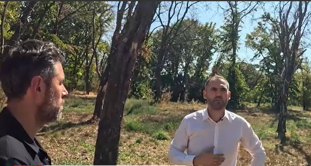 Bucureștiul își pierde verdele. Arborii mor sub nepăsarea autorităților, iar parcurile riscă să dispară. Ce scuze au găsit