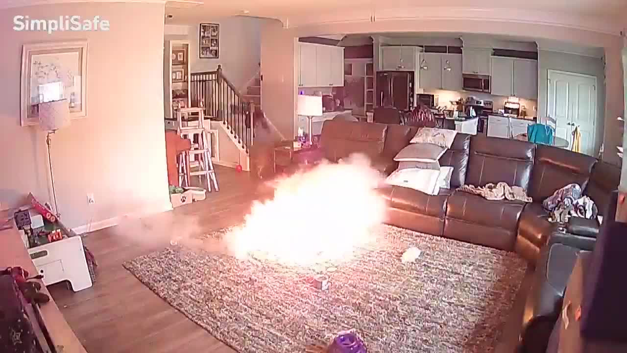 Câinele familiei a provocat un incendiu în timp ce se juca în sufragerie cu o baterie. Avertismentul proprietarului. VIDEO