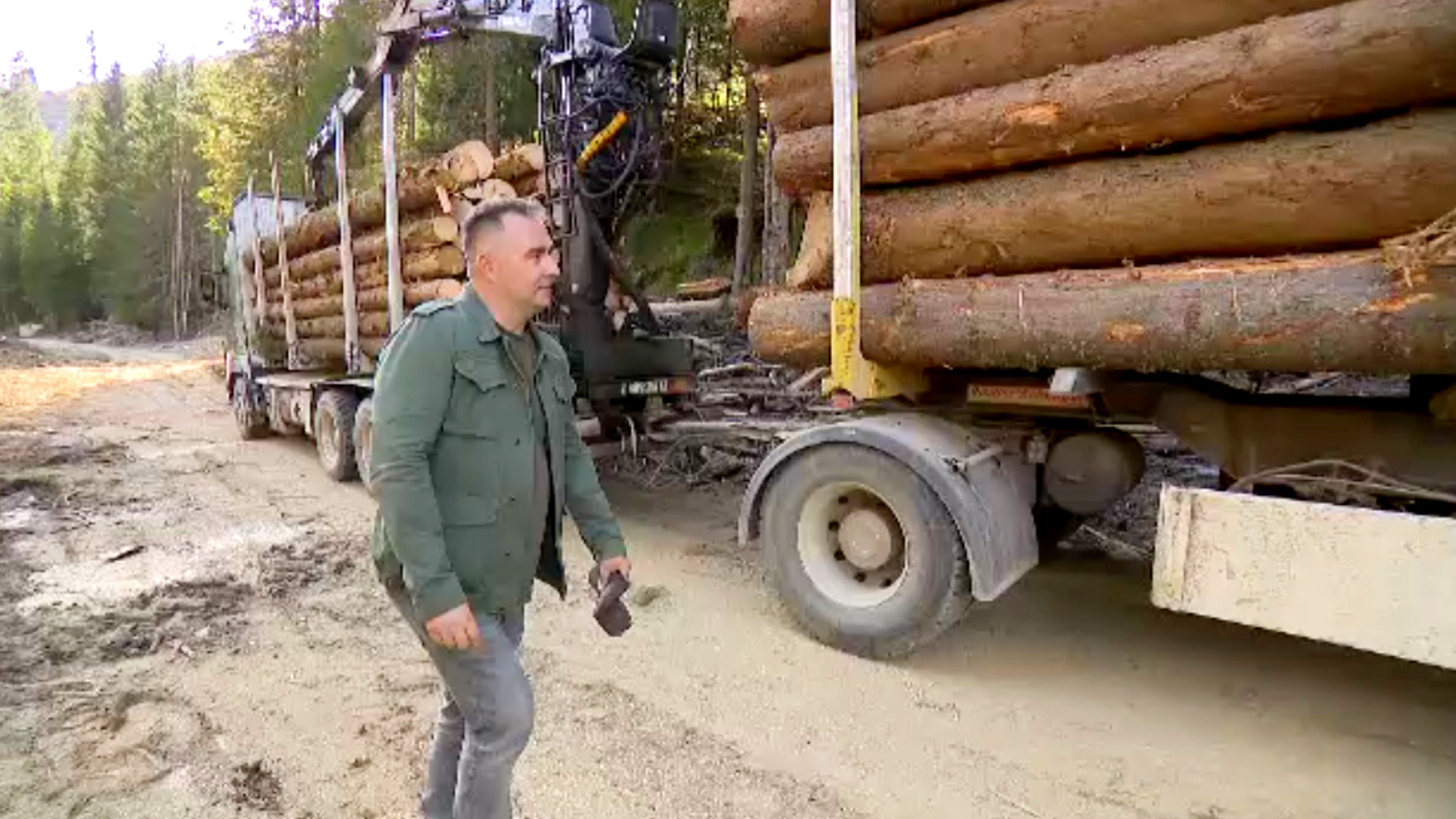 Combinații cu pădurile din ariile protejate ale României. Cum se defrișează masiv sub paravanul unor tăieri accidentale