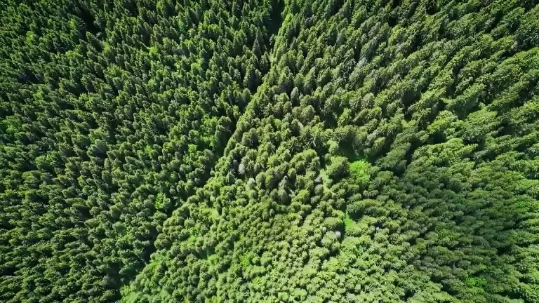 „Rezervații pentru combinații”, un nou reportaj semnat de Rareș Năstase, duminică, la România, te iubesc!