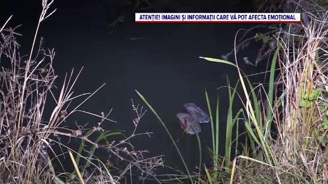 Doi copii din Vaslui, înecați în mod misterios într-o baltă de la marginea satului. Se jucau în drum și au dispărut brusc
