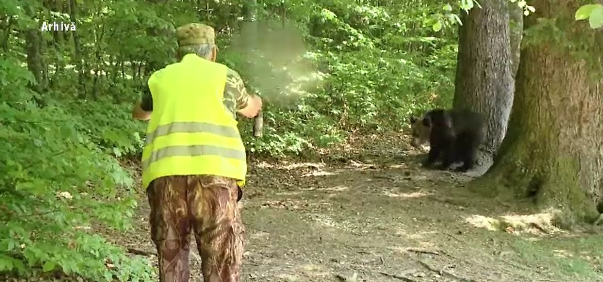 Un bărbat de 88 de ani a fost găsit mort de 12 ore, în Neamț. Ar fi posibil un atac de urs