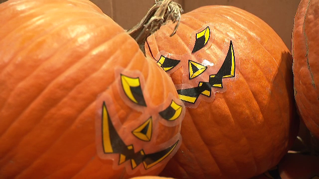 Dovlecii sunt la mare căutare înainte de sărbătoarea de Halloween. Comerciant: „Vorbim de tone, clienții cumpără chiar trei”