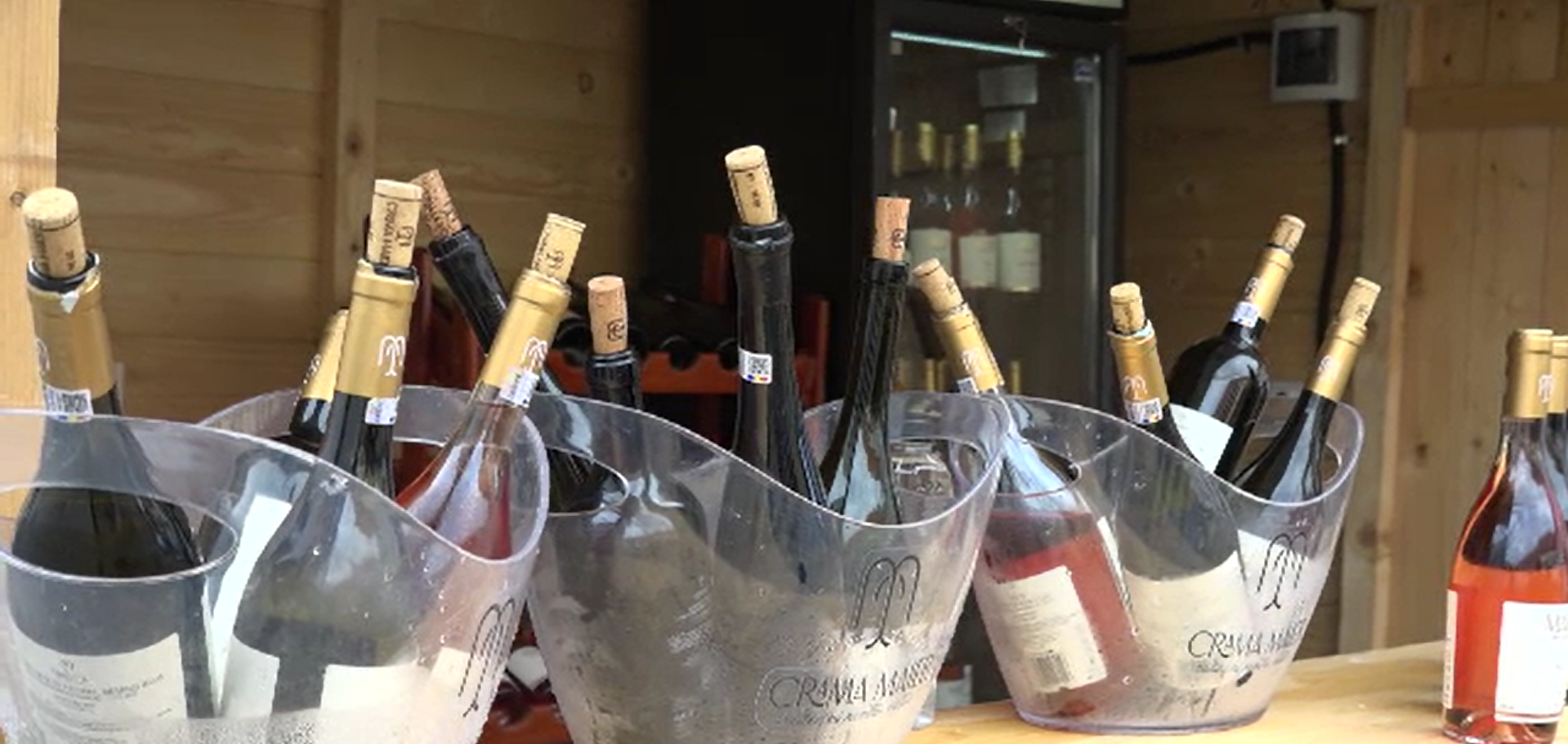 Românii au golit paharele la festivalul vinului din Cetatea Alba Carolina. „Un vin roze foarte bun”