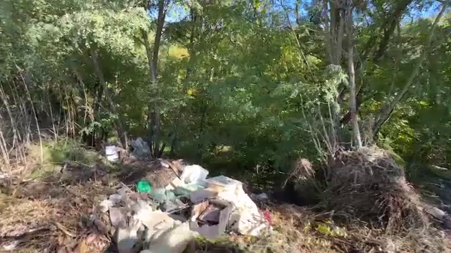 Amendă de 10.000 de lei pentru un bărbat care a aruncat deșeuri în pădure. Obiectele care l-au dat de gol