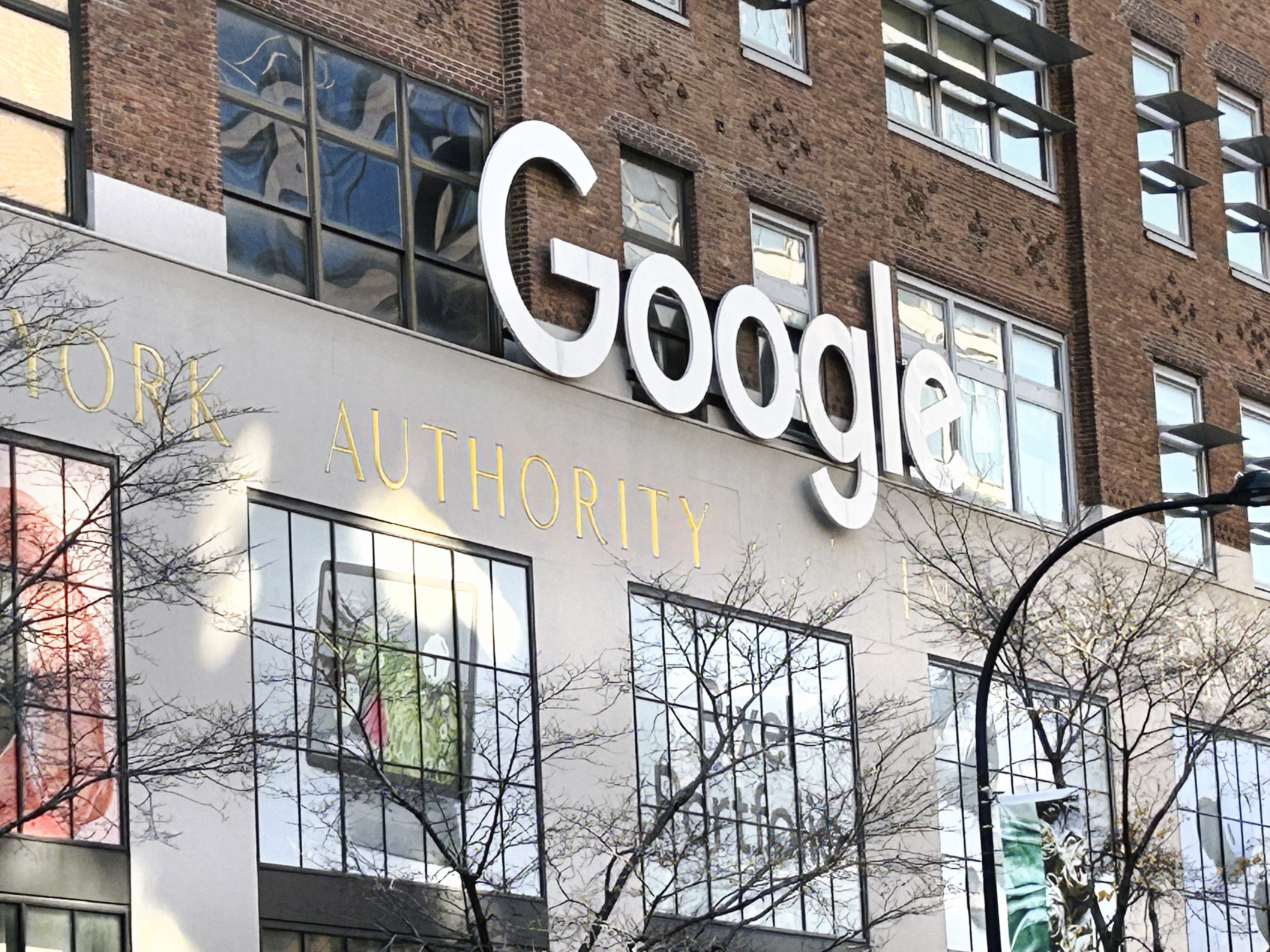 Ploșnițele au invadat sediul Google din New York. Se recomandă „un antivirus”