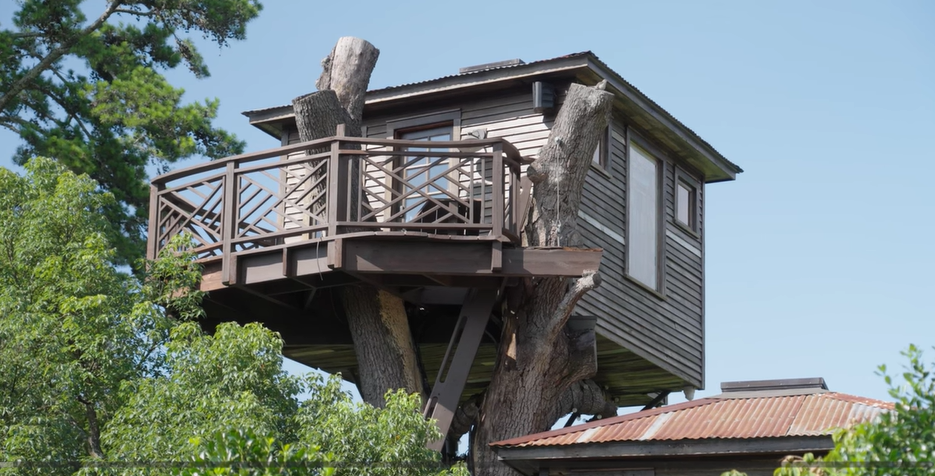 Cum arată casa în copac de 400.000 de dolari, pe trei etaje, a unui miliardar american. „Este distractiv”. VIDEO