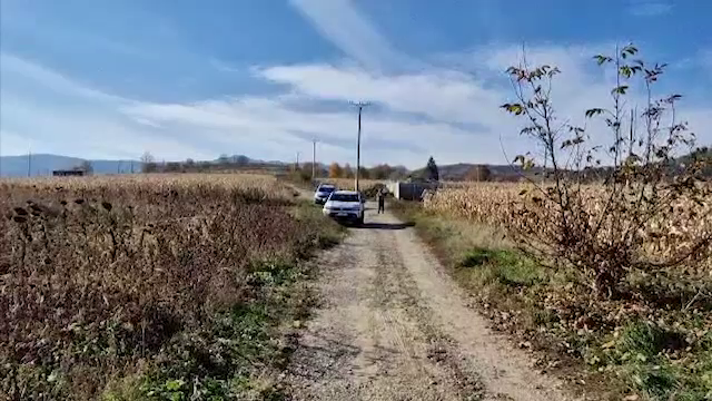 Cadavrul unui nou-născut, găsit într-un sac menajer pe un câmp din județul Bacău