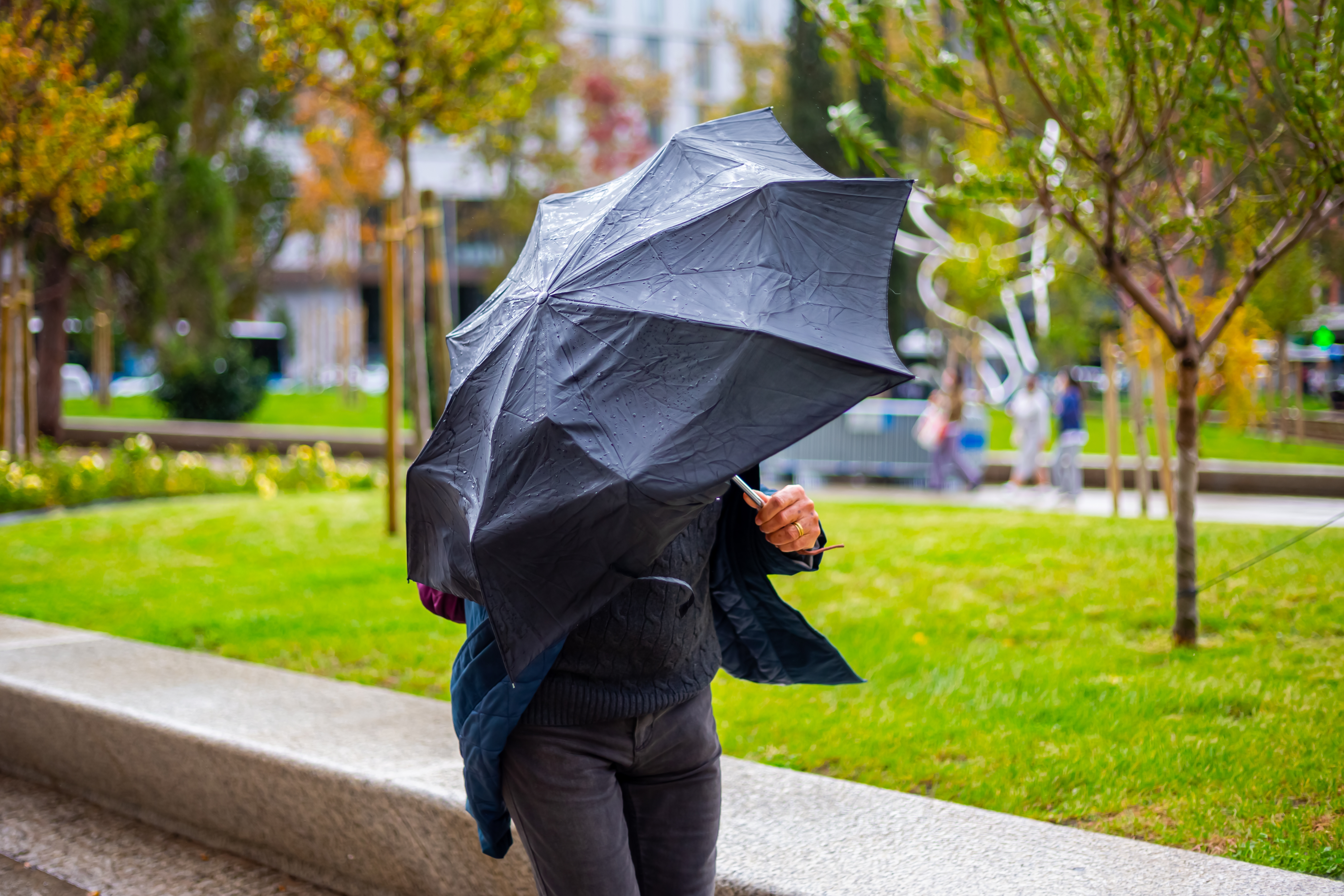 ANM a emis o avertizare de Cod galben de vânt, valabilă în peste trei sferturi din țară. Care sunt județele vizate | HARTĂ