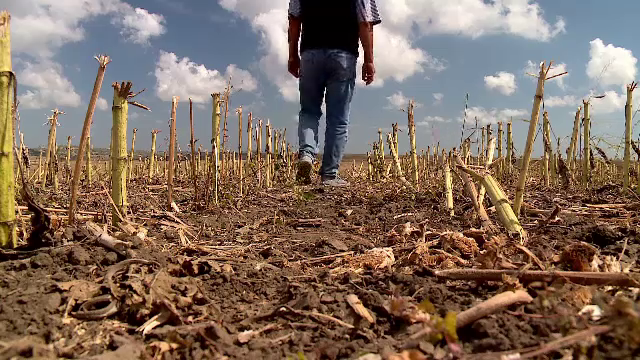 UE impune prima lege pentru sănătatea solului. România a făcut evaluări, însă fără acțiuni concrete