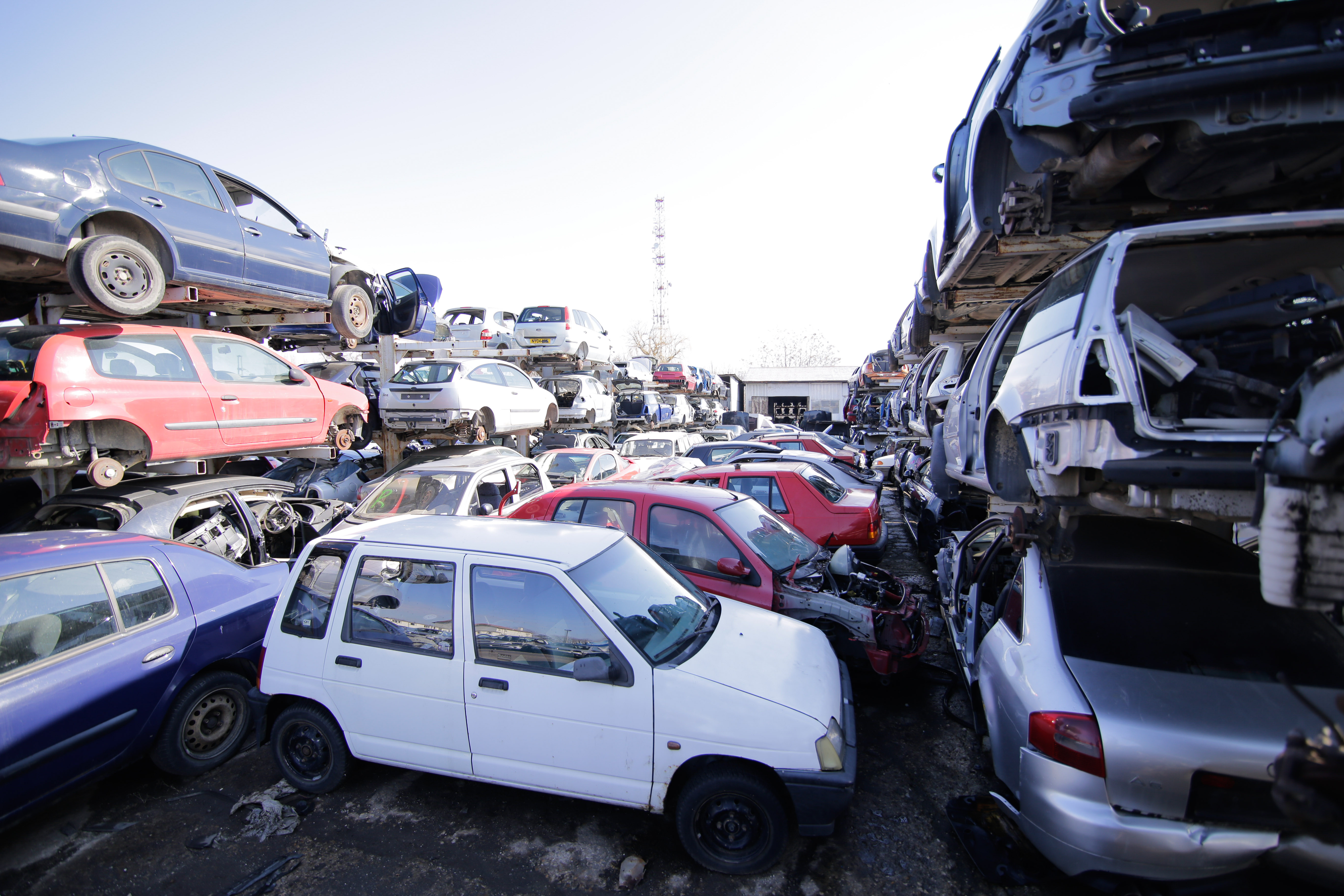 Bugetul Rabla Auto 2025, aproape epuizat în primele patru ore de la lansare. Ce fonduri mai pot fi accesate