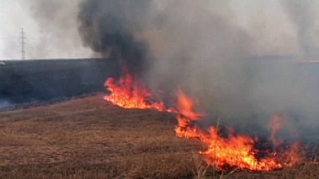 Gestul imprudent făcut de femeia din Galați care a ars de vie în lanul de porumb