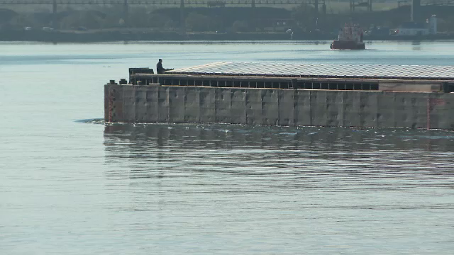 Ce se observă din satelit pe Marea Neagră. „Pot urca pe lanțul trofic, afectând sănătatea populației”