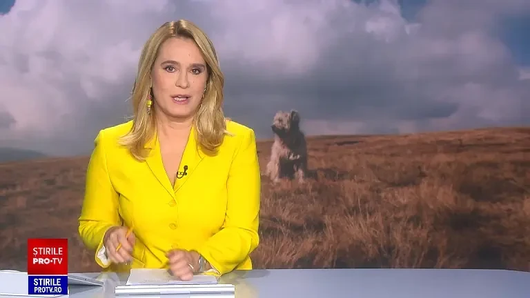 Rasele autohtone de câini ciobănești românești au fost propuse pentru patrimoniul UNESCO: „Sunt foarte ascultători”