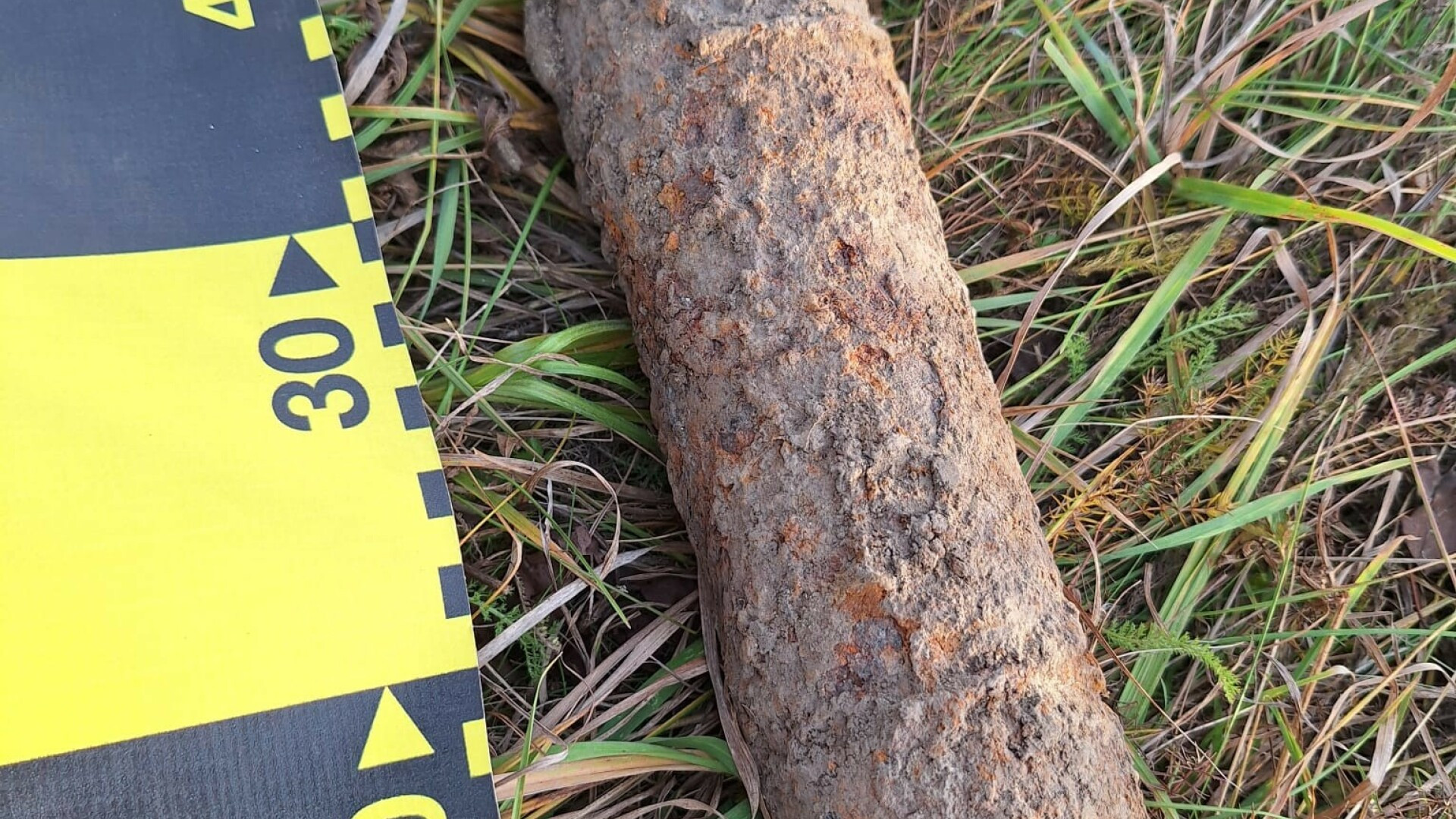 Ce a găsit un bărbat din Botoșani în curtea casei. A chemat de urgență pirotehnicienii