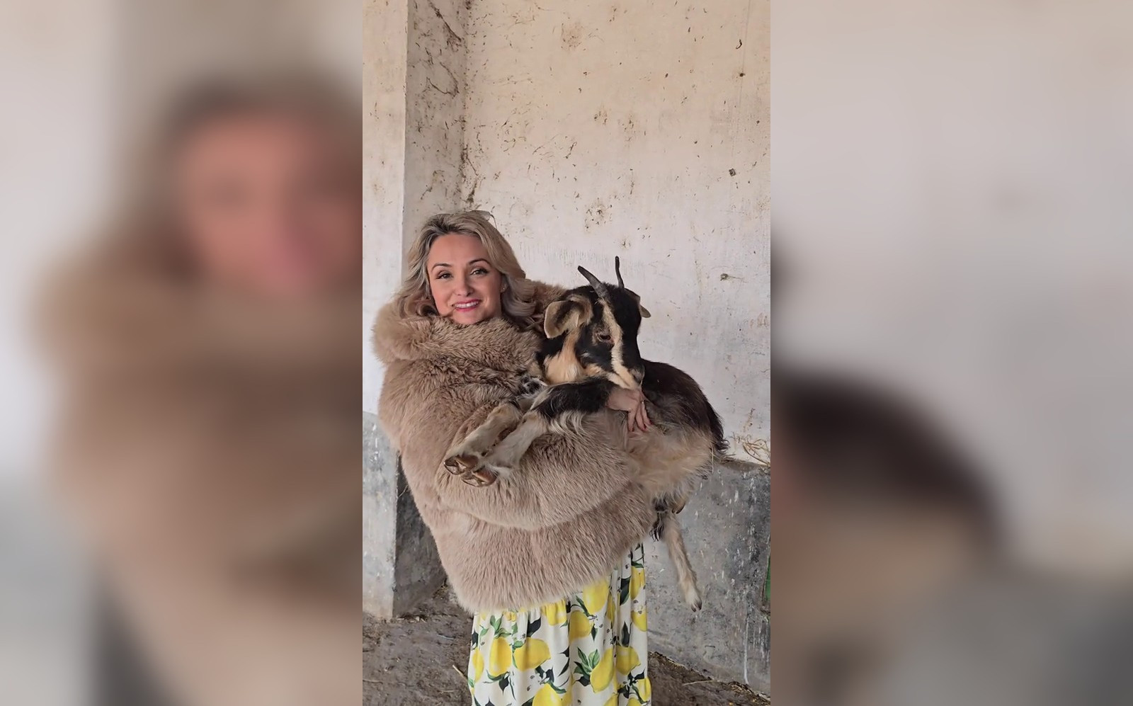 Amalia Bellantoni și soțul ei au fost arestați. Sunt acuzați de vecini că i-au bătut și le-au luat telefoanele