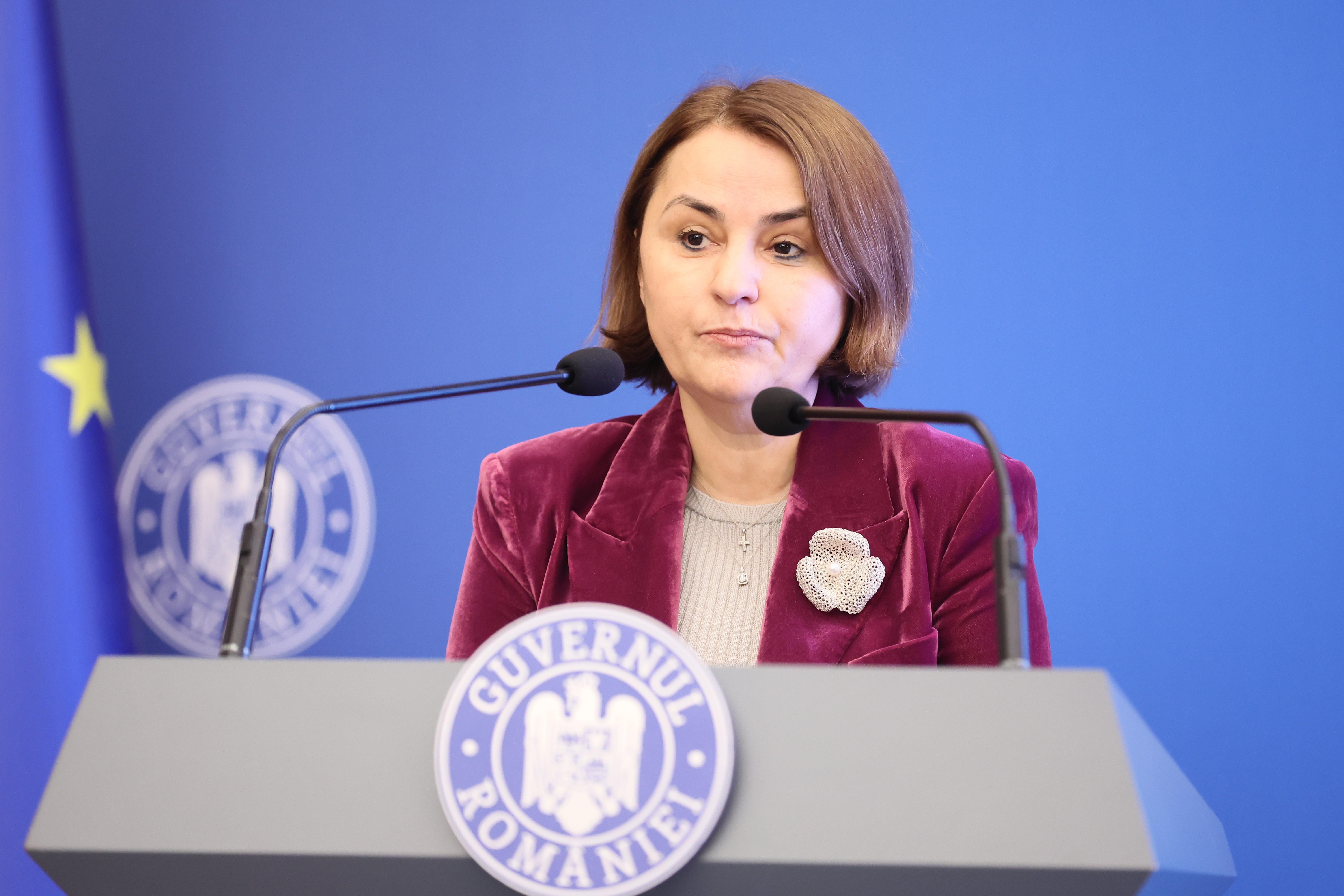 Luminița Odobescu, numită consilier de stat în Cancelaria prim-ministrului. Decizia, publicată în Monitorul Oficial
