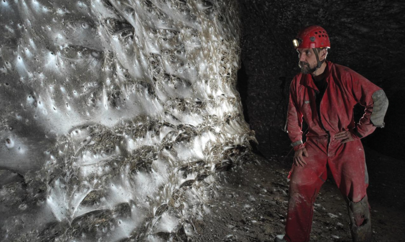 Un biolog român a descoperit cea mai mare pânză de păianjen văzută vreodată. Megaorașul păianjenilor, în întuneric total FOTO