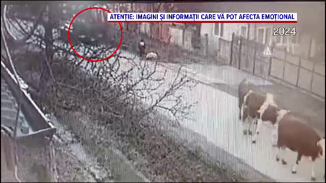 Un bărbat din Bihor, condamnat la 12 ani de închisoare. A lovit intenționat cu mașina un vecin care avea copilul în brațe