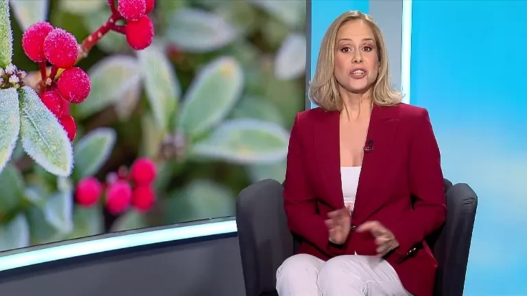 Cum controlăm senzațiile de foame și sațietate. Alimentele care asigură aportul necesar de fibre