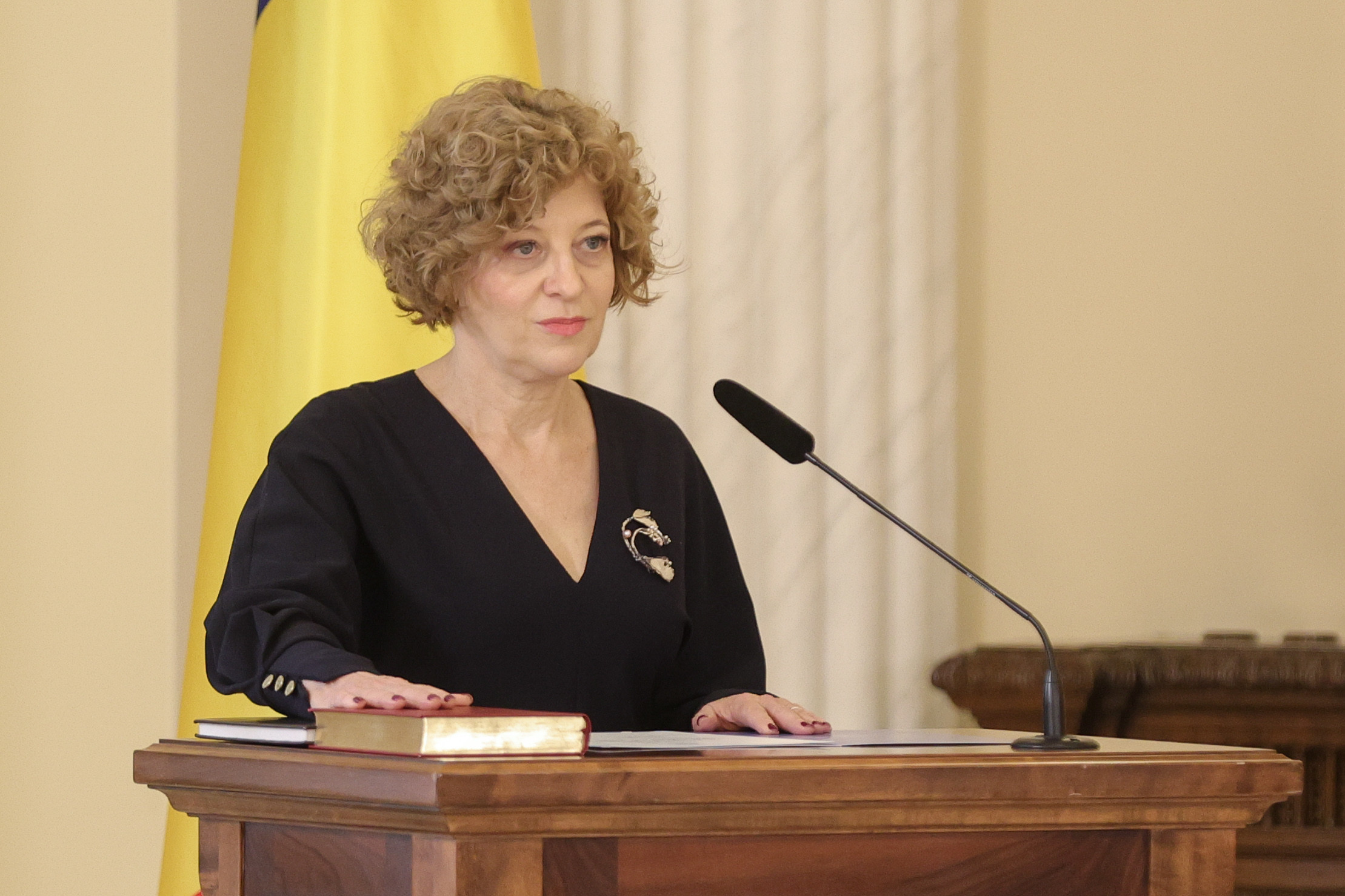 Un fost ministru al Justiției îi recomandă Oanei Gheorghiu să facă și ea plângere penală împotriva CSM. ”Sunt presiuni”