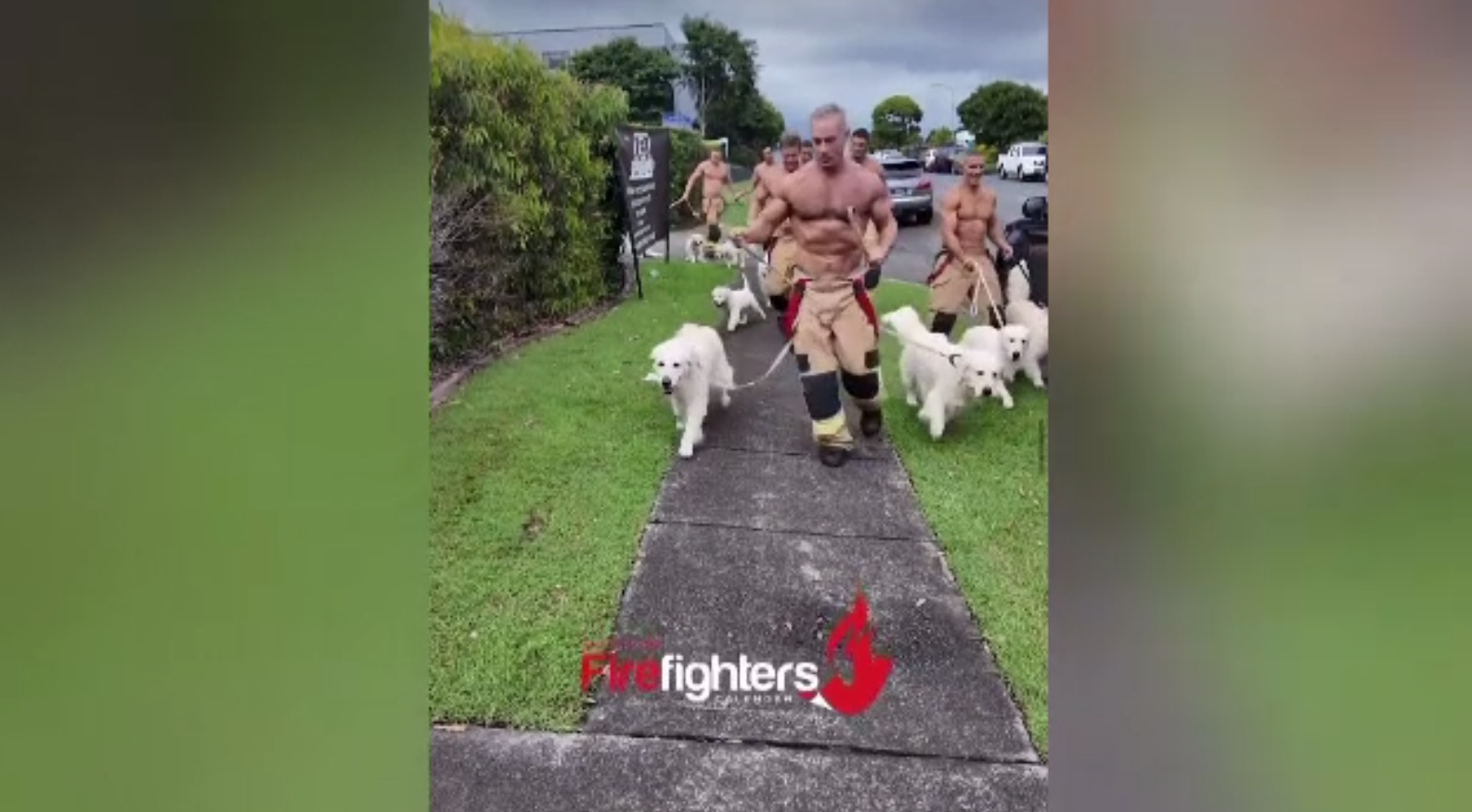 Pompierii australieni revin cu un nou calendar pentru 2026 – ședință foto inedită alături de cățeluși