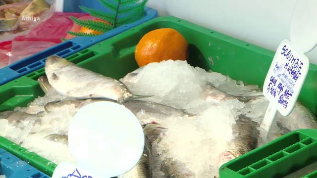 România importă peste 80% din peștele consumat. Pescarii nu au unde să-și păstreze captura