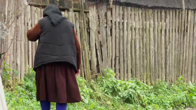 Descoperire macabră la marginea unei localități din Maramureș. „Sigur că mi-e frică, nu ies nicăieri, la deal nu mă duc”