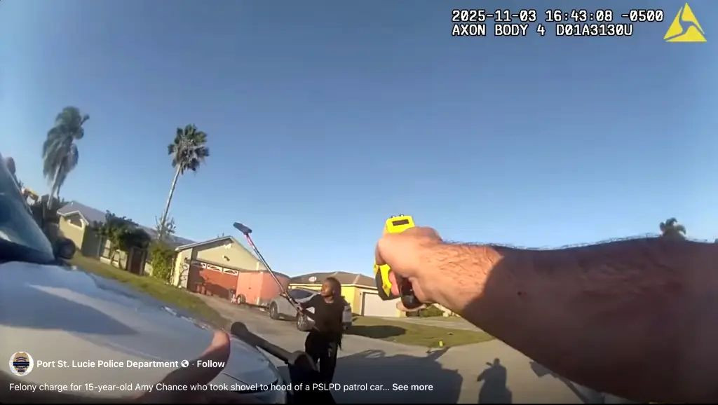 Adolescentă încătușată după ce s-a năpustit cu lopata spre o mașină de poliție. Reacția polițistului: „Glumești?” |VIDEO