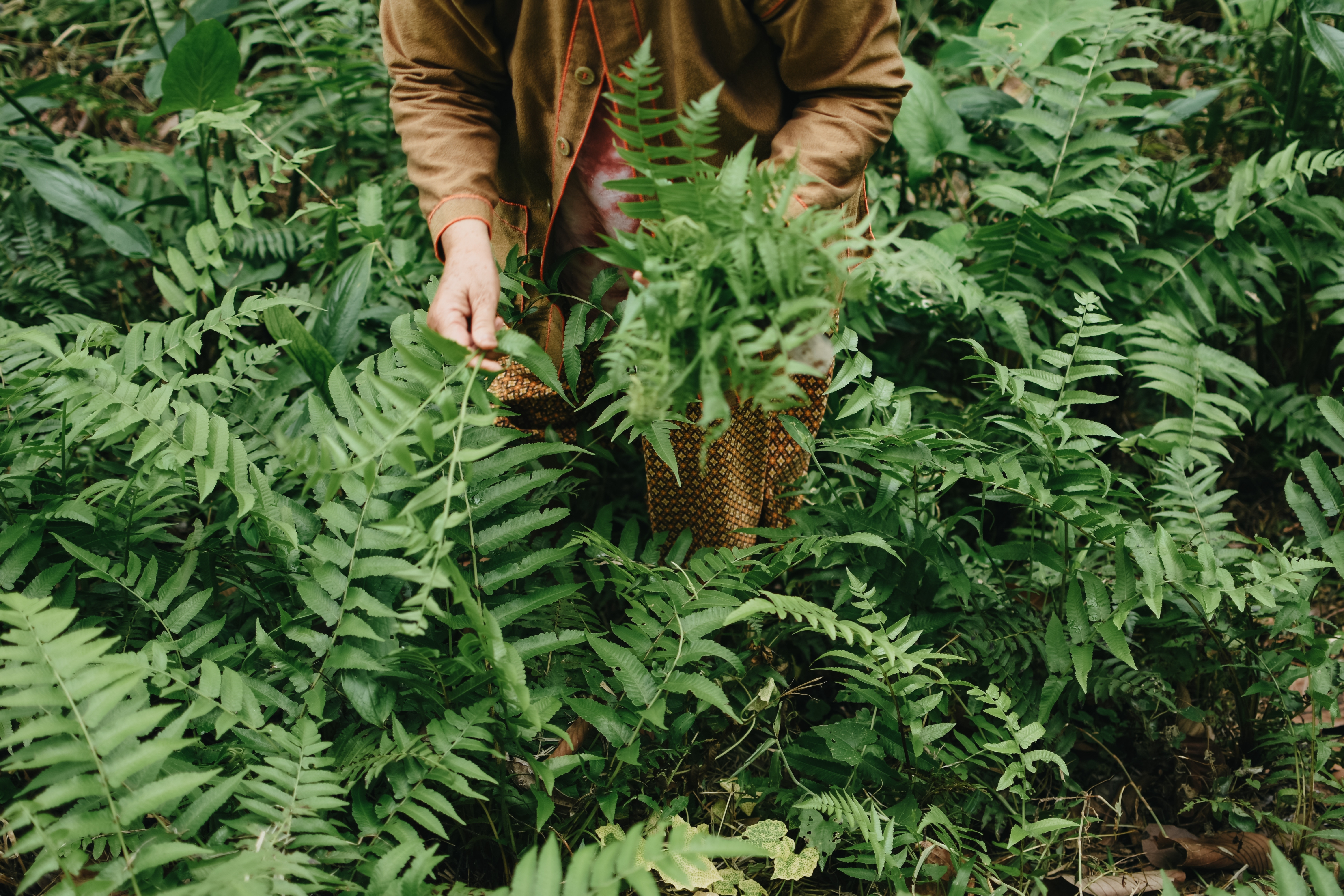 China, care deține deja monopol mondial pe pământuri rare, anunță că a descoperit minerale de mare valoare până și în plante