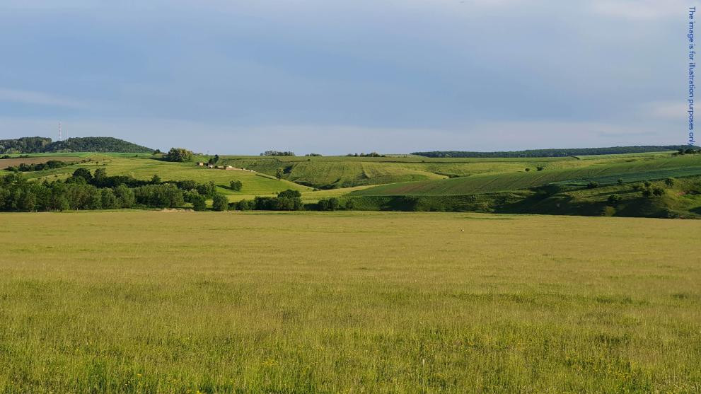 Anchetă a Parchetului European. Cum a folosit un funcționar APIA doi fermieri din Giurgiu pentru a fura fonduri europene