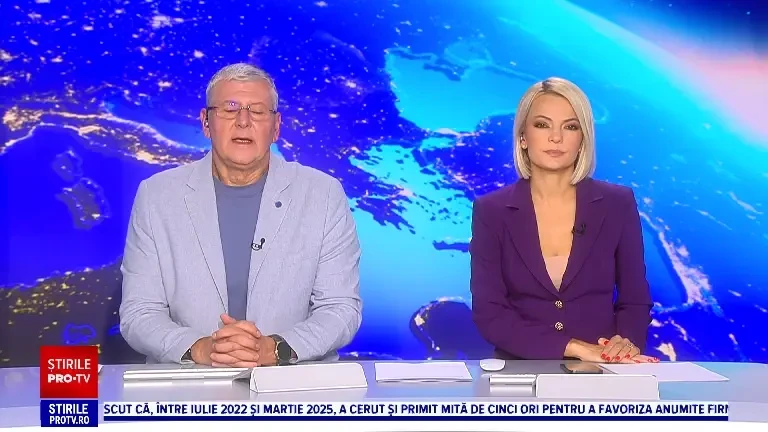 În Ploiești vor fi amplasate zeci de adăposturi din lemn care să le țină de cald pisicilor fără stăpân