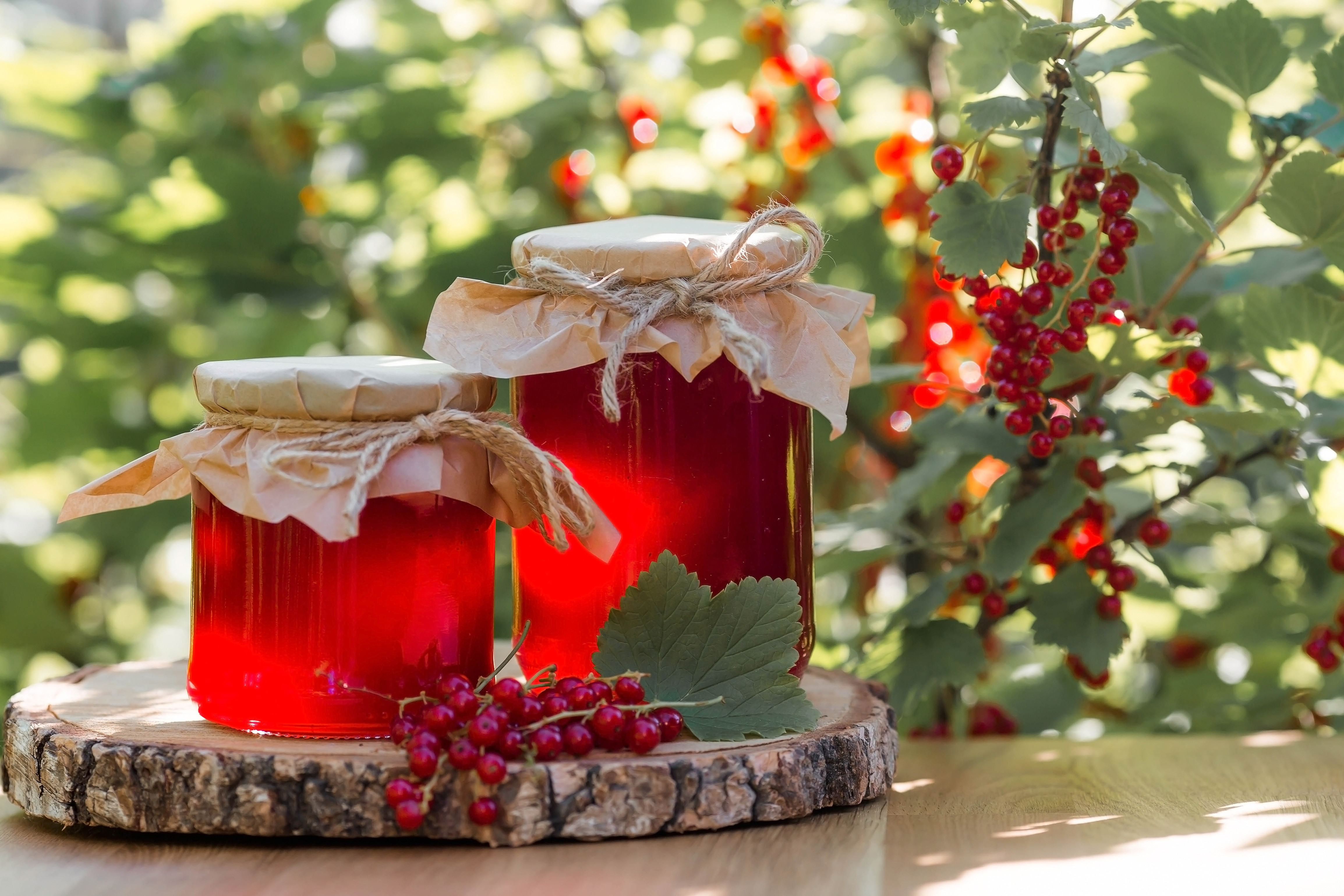 Dulceață de coacăze: rețeta perfectă, plină de vitamine și culoare. Trucul pentru o culoare clară și o aromă echilibrată