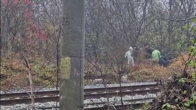 Descoperire macabră în Bacău. Trupul unei tinere, plin de sânge, a fost găsit lângă o cale ferată