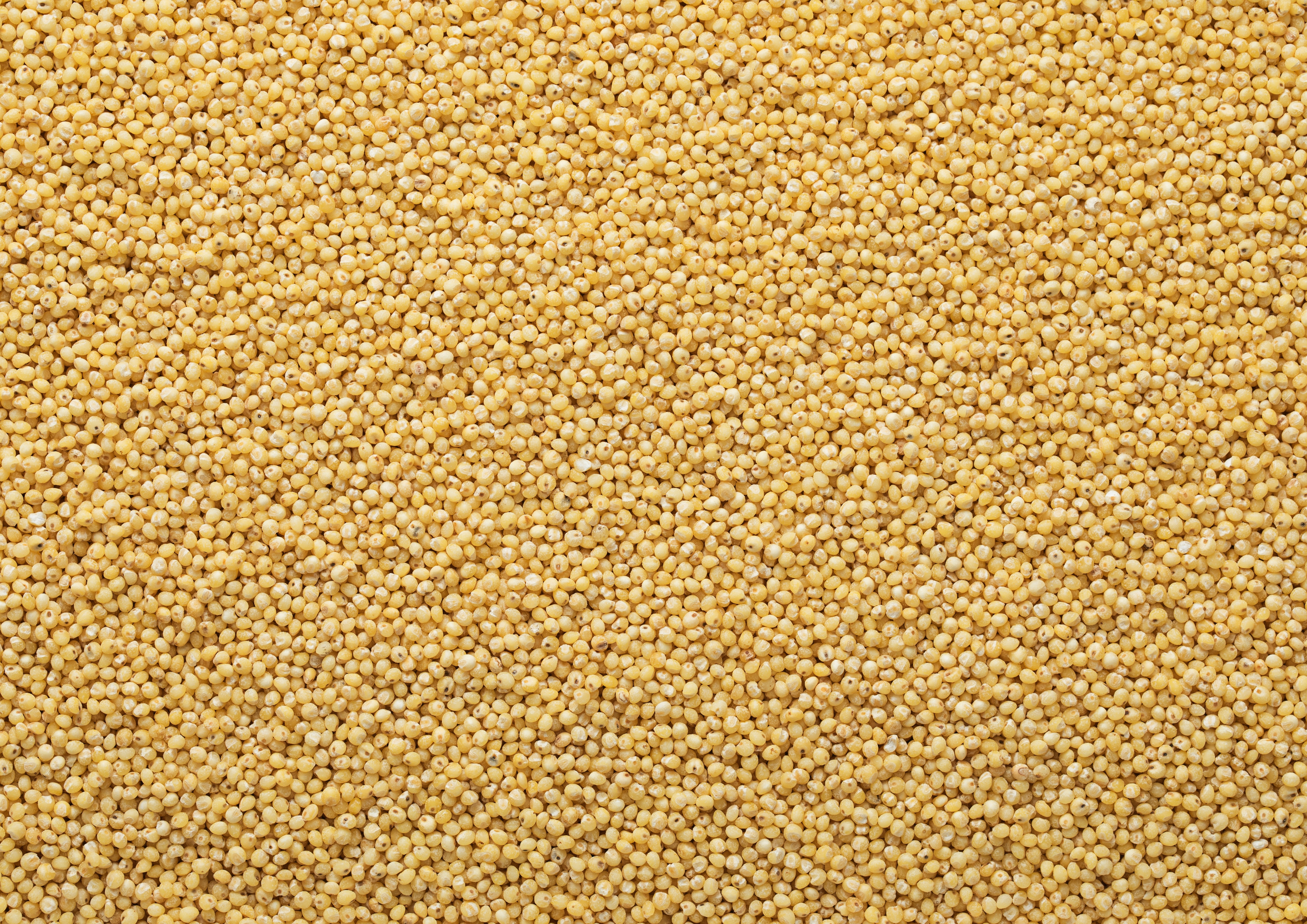 Mei: cereala fără gluten, bogată în proteine și beneficii uimitoare pentru sănătate. De ce ar trebui să-l incluzi în dietă